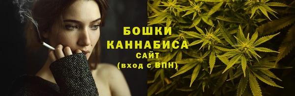 стаф Медногорск