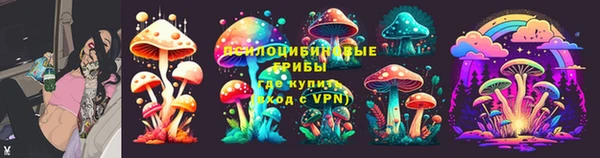 стаф Медногорск