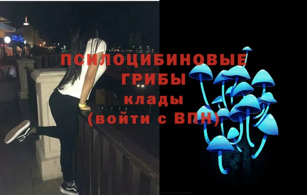 стаф Медногорск