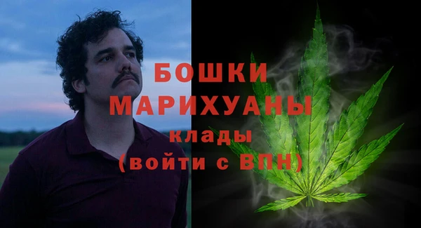стаф Медногорск