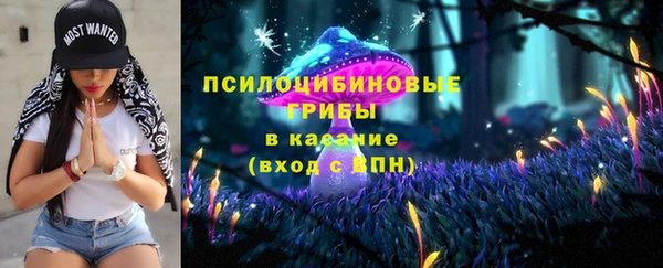 ешки Медвежьегорск