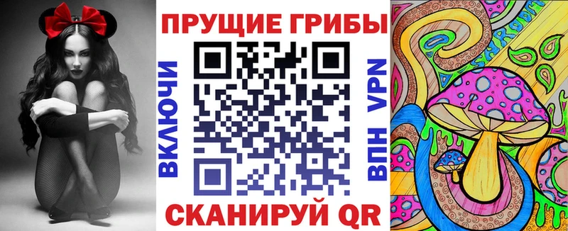 Купить  Кировск  Псилоцибиновые грибы прущие грибы 